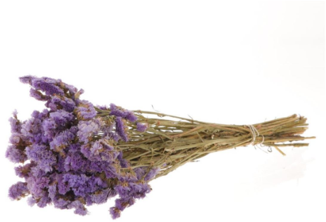 [A-022388] Statice Sinuata Lamsoor droogbloemen Milka ca. 70 cm