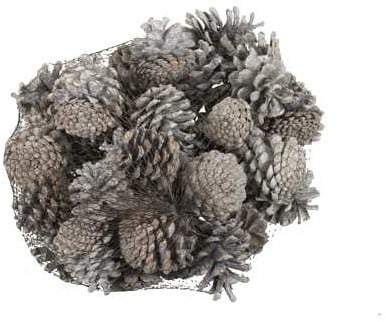 [A-023216] Dennenappel Oostenrijkers White Tip 1 kilo