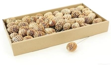 [A-023273] Sabulosum White Wash op draad doos ca. 80 stuks
