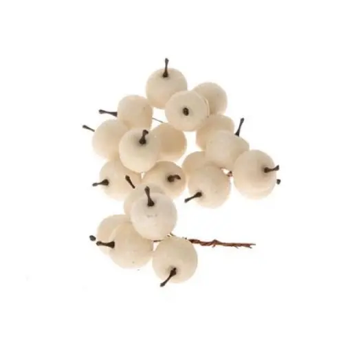 [A-023351] Appel Frosted White 2,5 cm ca. 20 stuks zak