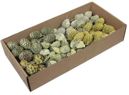 [A-027002] Leucodendron assortiment op draad Green wash doos 100 stuks