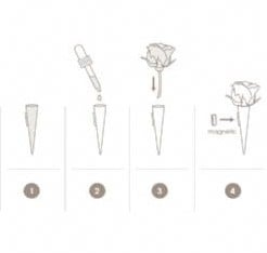 [A-007422] Corsagehouder Boutonnière Flowerdarte Zwart doos 10 stuks