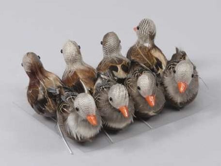 [A-013140] Eendjes Naturel 7 cm 8 stuks