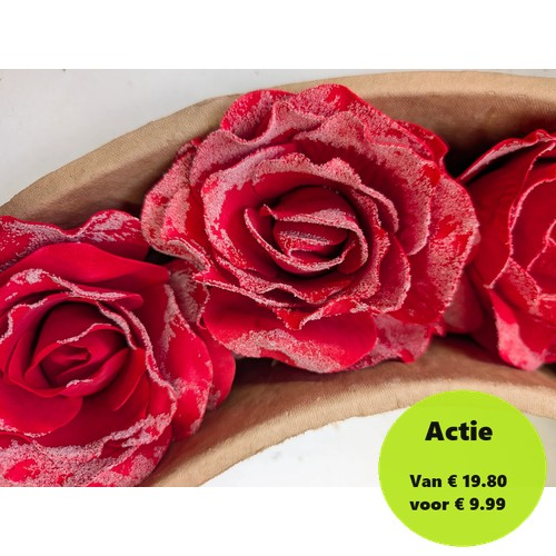 [A-008086] Foamroos Sophie Snow Rood 15 cm Doos 12 stuks
