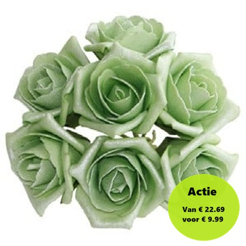 [A-012242] Foamroos Emilia Antique Cool Groen doos 42 stuks